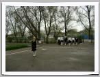 DSC04124.jpg